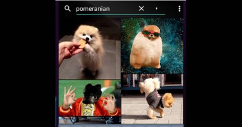 Trouver des gifs animés grâce à l’application Giphy Application Giphy pour la recherche de gif animés