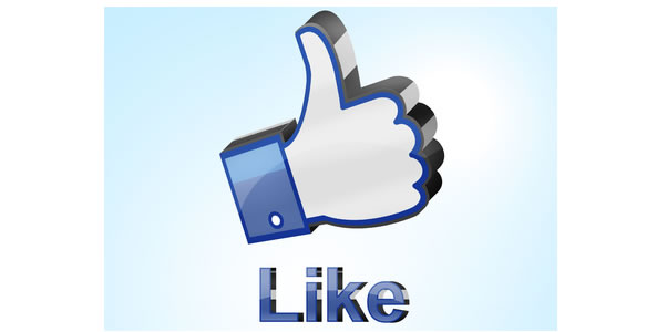 Sujets le splus abordés sur Facebook en 2013