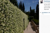 Optimiser sa veille sur Instagram grâce aux flux RSS