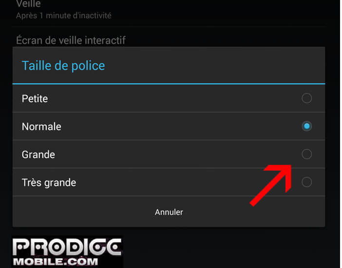 Agrandir la police Android