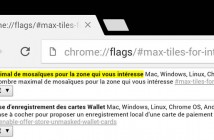 Comment rendre Google Chrome encore plus fluide sous Android