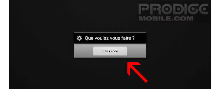 Cliquez sur le bouton saisir code