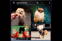 Trouver des gifs animés grâce à l’application Giphy