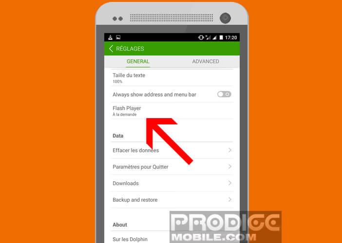 Modifier les paramètres Flash dans Dolphin Browser