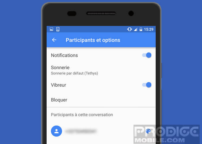 Options de personnalisation sur Google Messenger