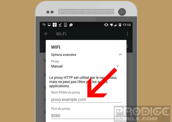 Entrez le nom d'hôte ou l'adresse ip de votre proxy internet