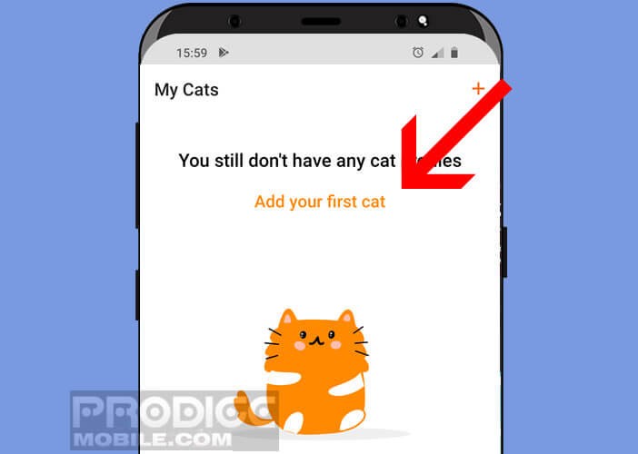Créer le profil de votre chat sur l’application Meow Talk