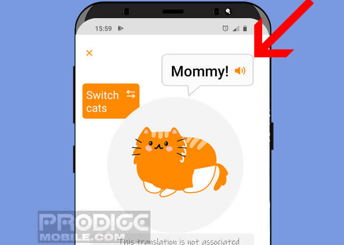 Décrypter le langage de votre chat avec cette application