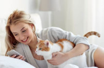 Meow Talk : l’application qui traduit les miaulements des chats