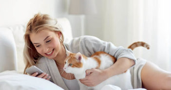 Cette application permet de traduire le miaulement des chats en langage humain