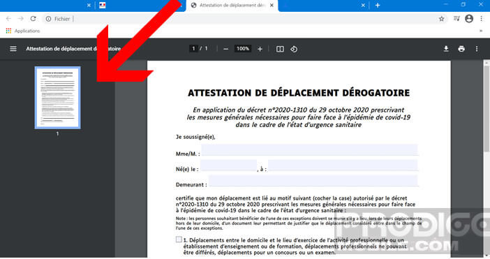 Affichage du contenu des pages du document PDF sous forme de vignette