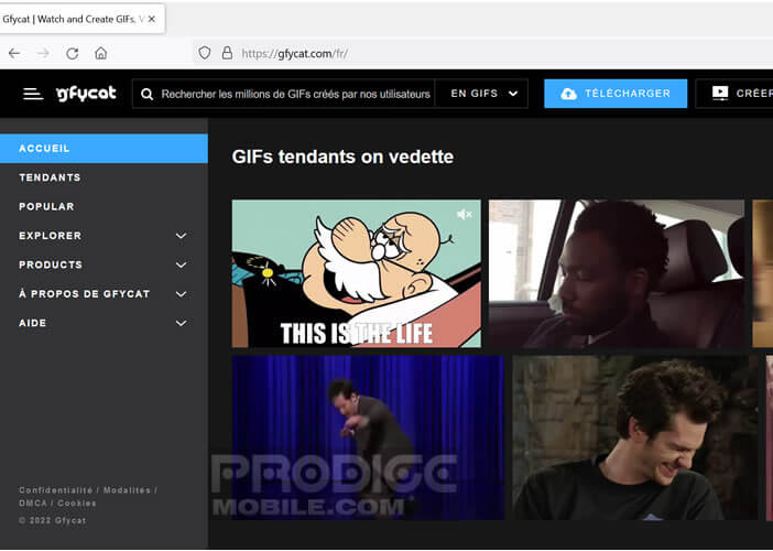 Présentation de Gfycat la plateforme de téléchargement d’animations