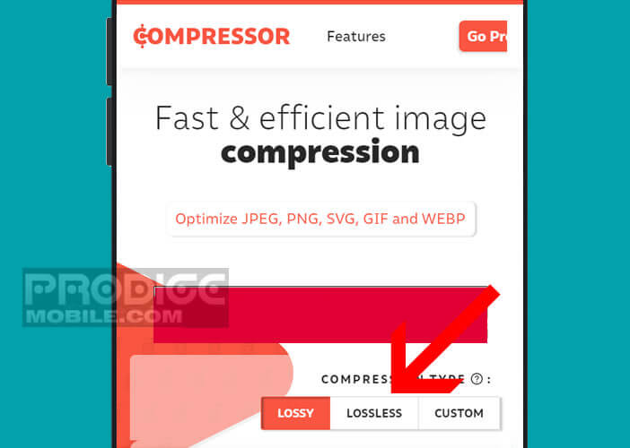 Sélectionnez le type de compression pour vos gifs animés