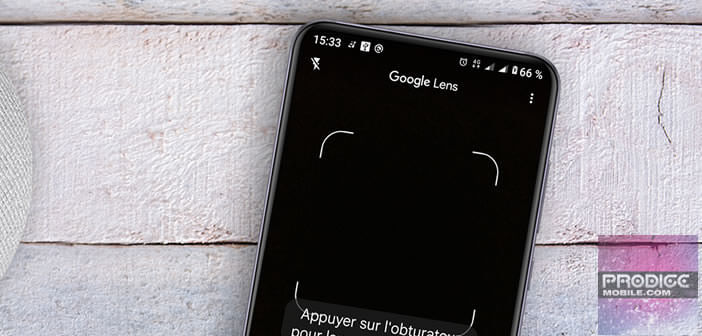 Identifier une plante ou un produit avec l’application Google Lens