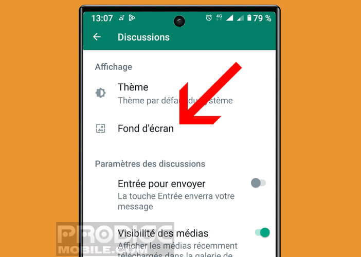 Sélectionner l’option de personnalisation des chats