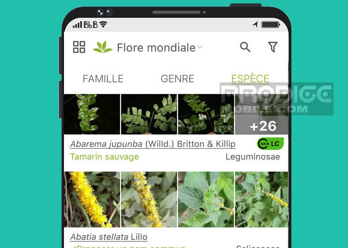 Interroger la base de PlantNet pour reconnaître une plante