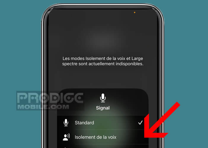 Activer la fonction Isolement voix de iOS en cochant la case correspondante