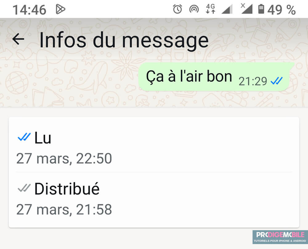 Double coche bleue WhatsApp indiquant qu’un message a été lu