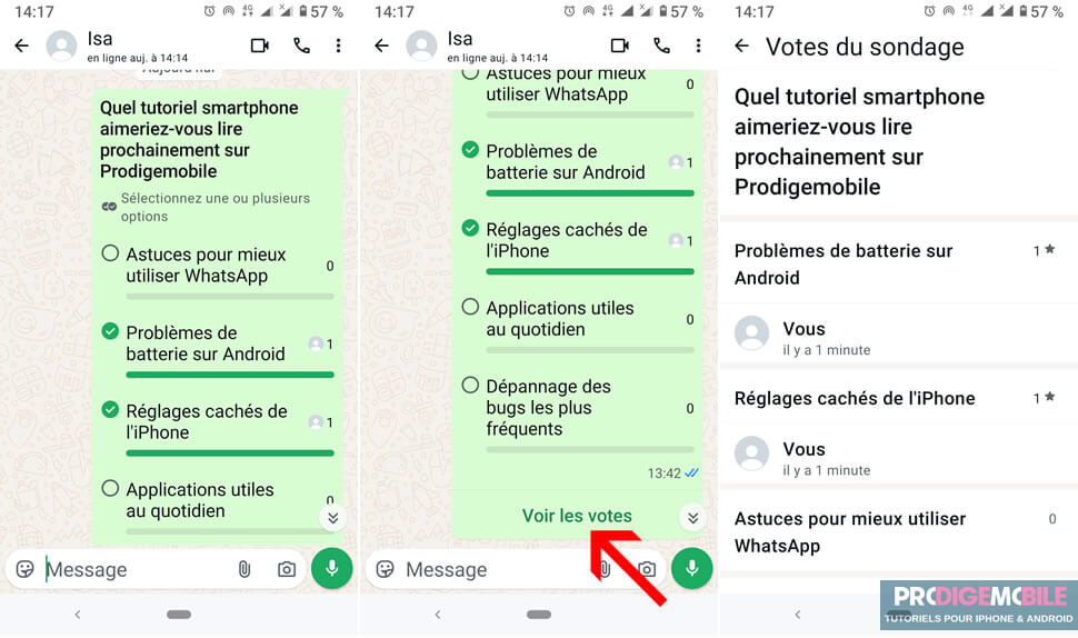 Résultats d’un sondage WhatsApp affichant les votes des participants dans une conversation